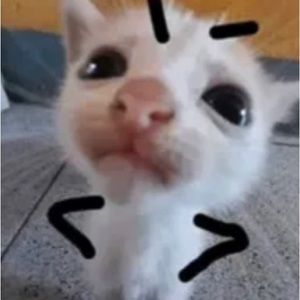 Meet your Posher, Eduardo